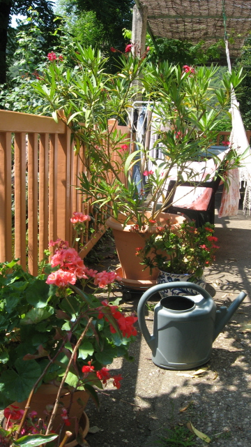 terrasse1